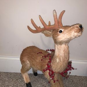 Christmas reindeer